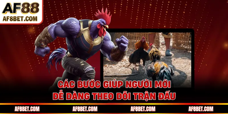 Các bước giúp người mới dễ dàng theo dõi trận đấu