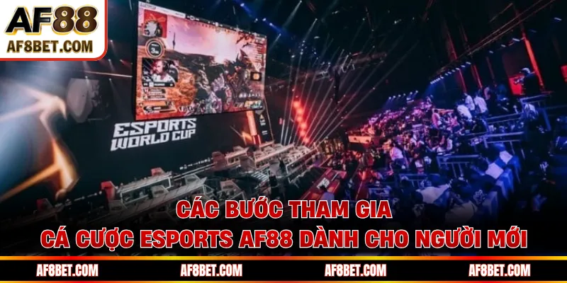 Các bước tham gia cá cược Esports AF88 dành cho người mới
