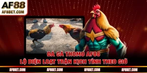 Đá Gà Thomo AF88 Lộ Diện Loạt Trận Kịch Tính Theo Giờ