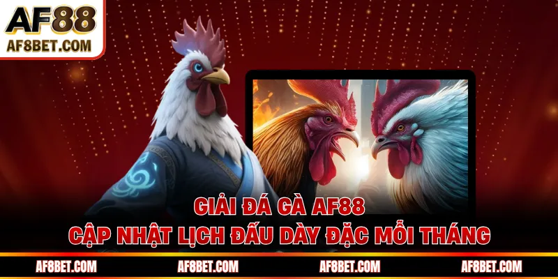 Giải Đá Gà AF88 Cập Nhật Lịch Đấu Dày Đặc Mỗi Tháng