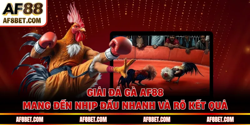 Giải đá gà AF88 mang đến nhịp đấu nhanh và rõ kết quả