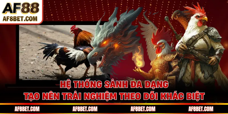 Hệ thống sảnh đa dạng tạo nên trải nghiệm theo dõi khác biệt