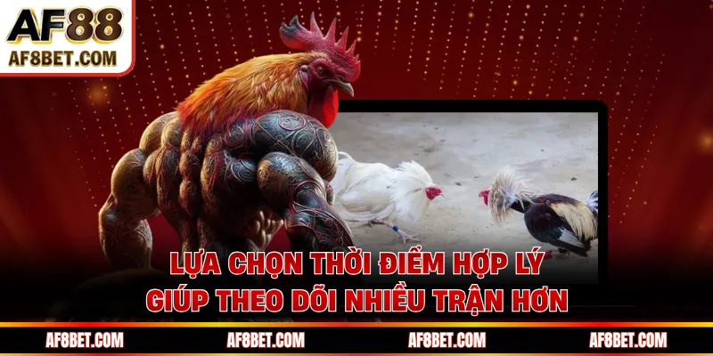 Lựa chọn thời điểm hợp lý giúp theo dõi nhiều trận hơn