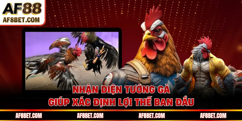 Nhận diện tướng gà giúp xác định lợi thế ban đầu