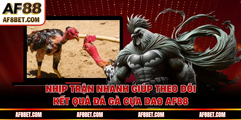 Nhịp trận nhanh giúp theo dõi kết quả đá gà cựa dao AF88