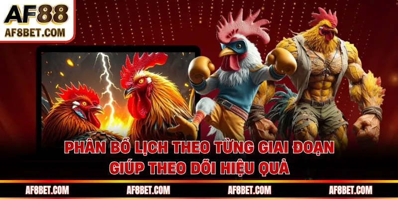 Phân bổ lịch theo từng giai đoạn giúp theo dõi hiệu quả