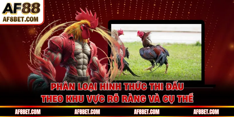 Phân loại hình thức thi đấu theo khu vực rõ ràng và cụ thể