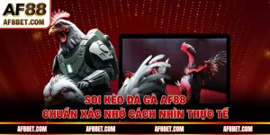Soi Kèo Đá Gà AF88 Chuẩn Xác Nhờ Cách Nhìn Thực Tế