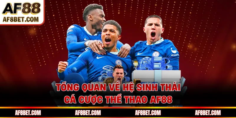 Tổng quan về hệ sinh thái cá cược thể thao AF88